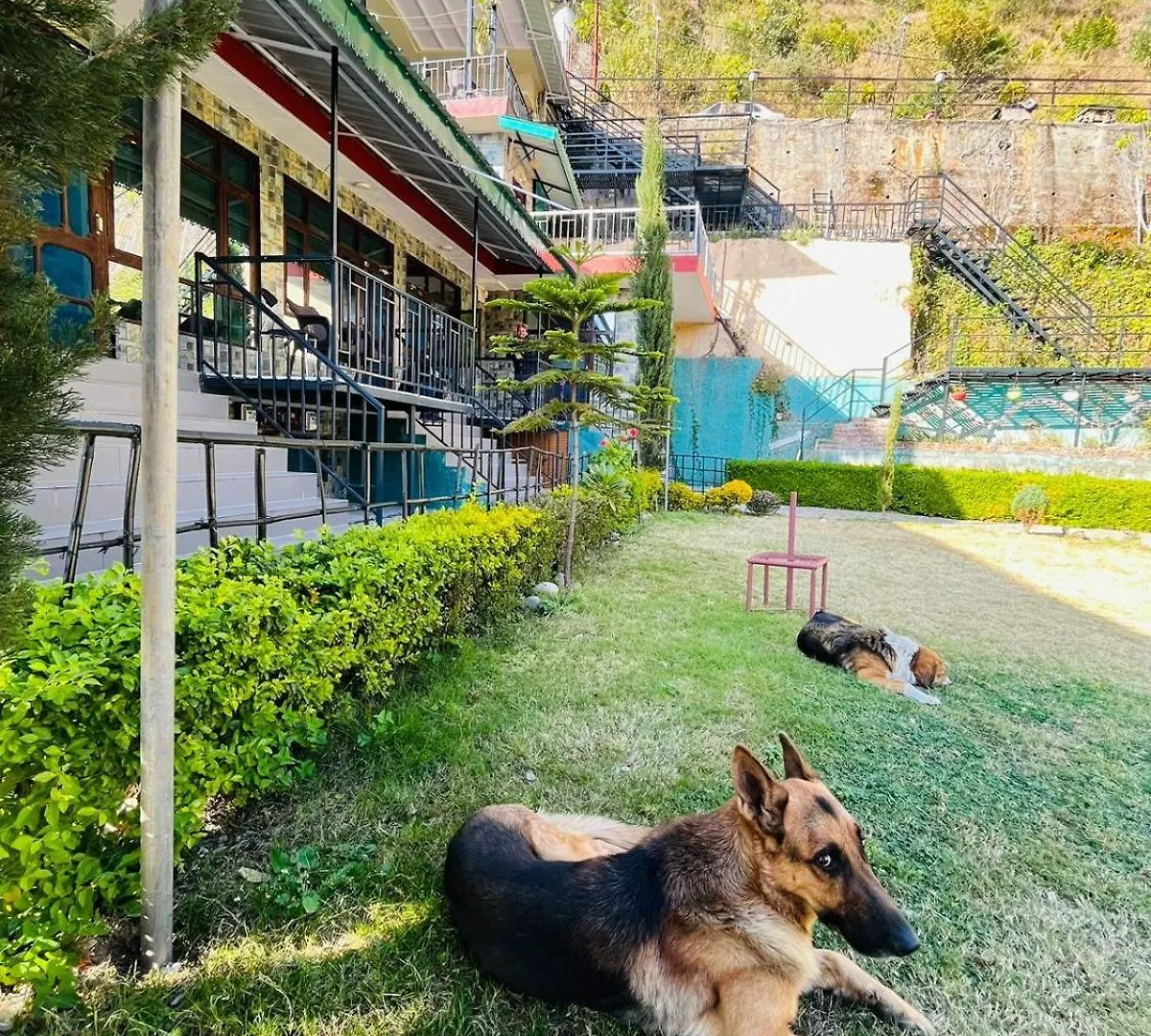 Green Lodge Farmstay By Highland Monk Shimla